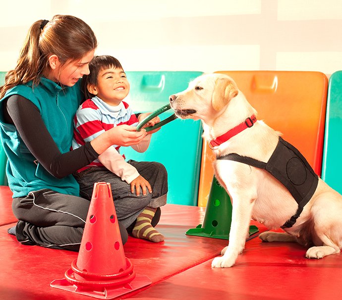 Unser gemeinsamer Beitrag zur Ausbildung eines Assistenzhunds